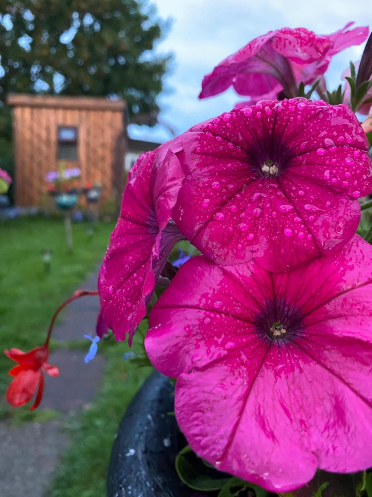 Birds And The Bees Summer House Endon Екстер'єр фото
